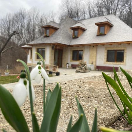 Вилла Casa Cu Sindrila Вэлени-де-Мунте Экстерьер фото