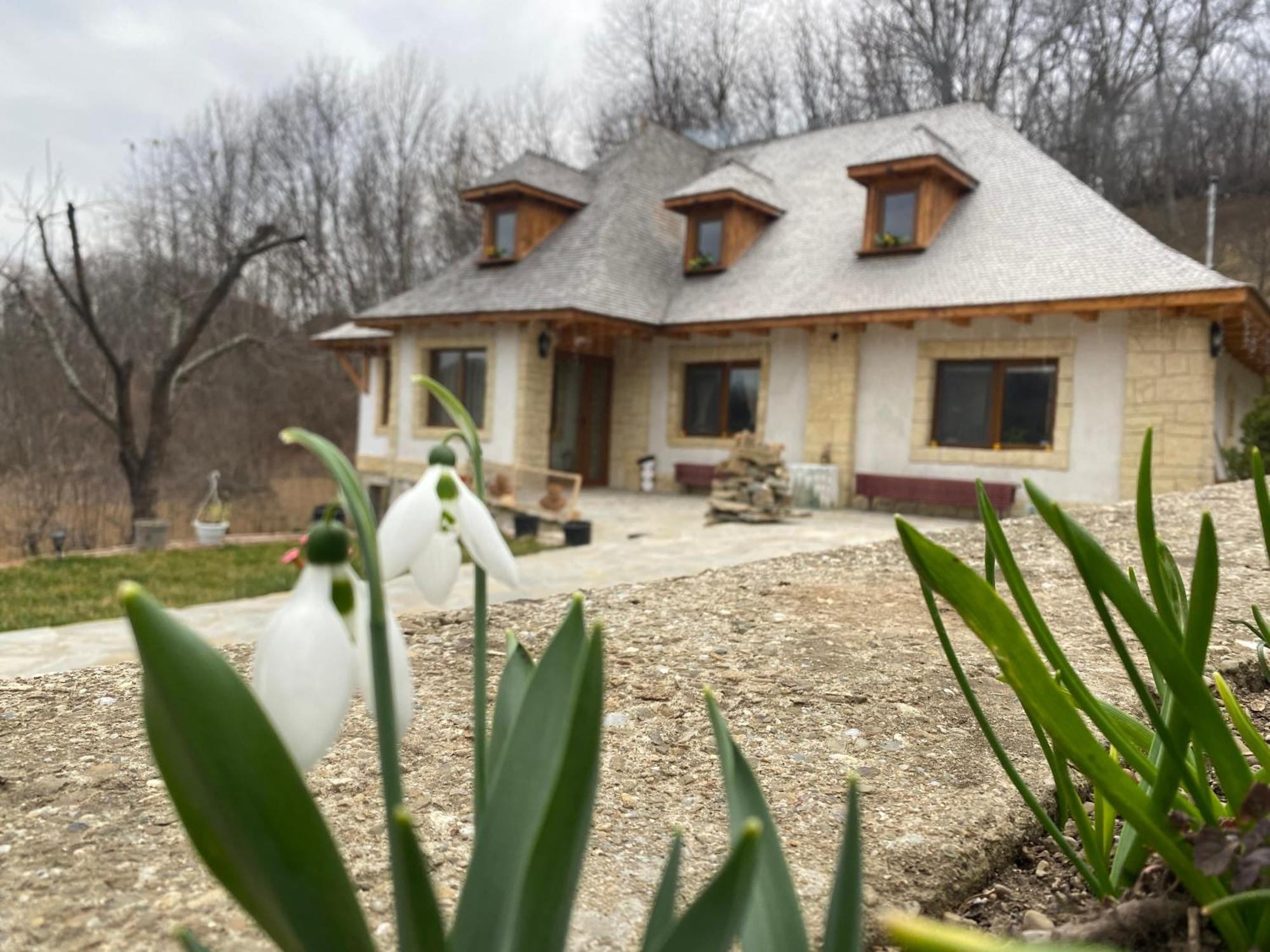 Вилла Casa Cu Sindrila Вэлени-де-Мунте Экстерьер фото
