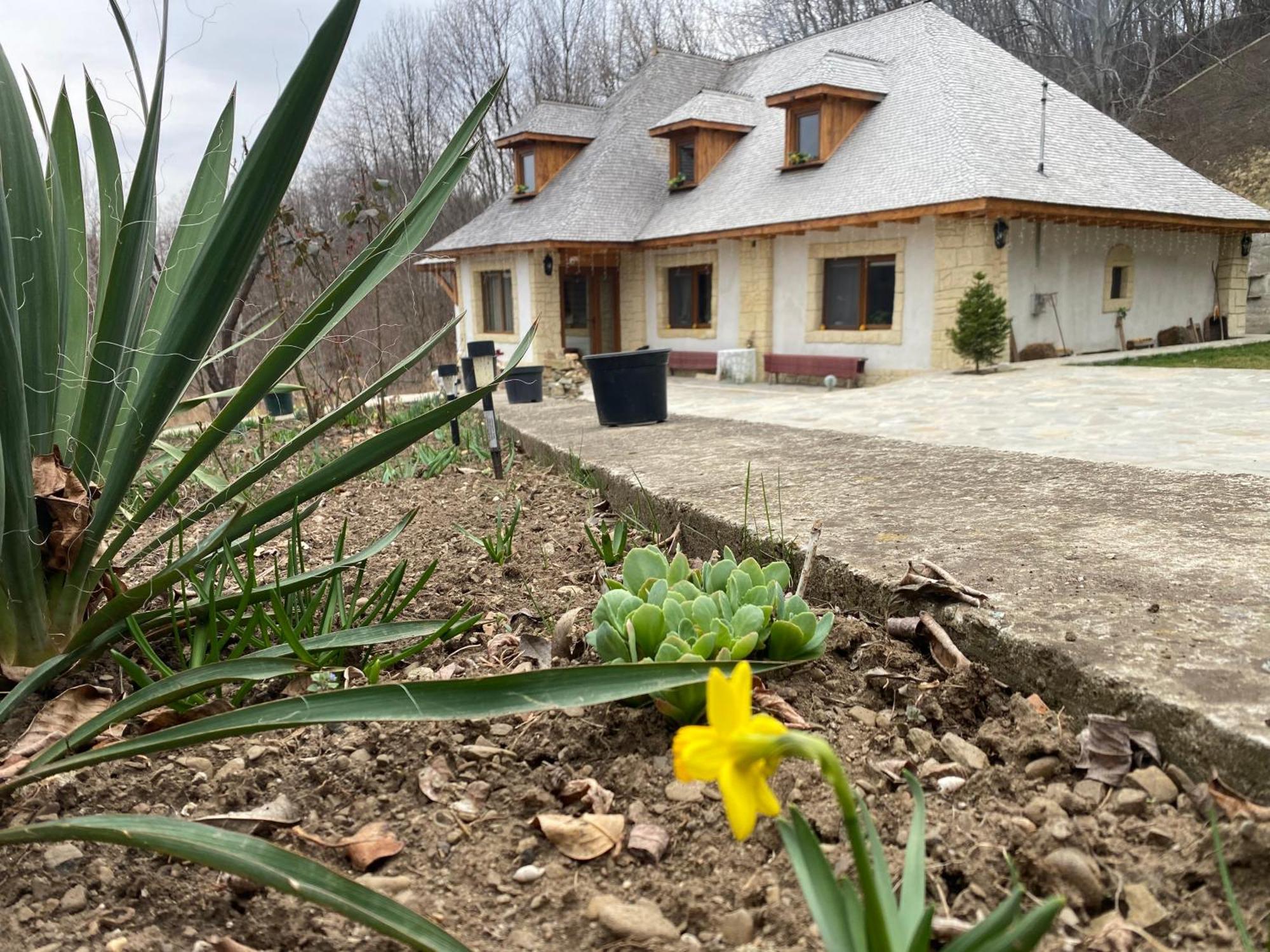 Вилла Casa Cu Sindrila Вэлени-де-Мунте Экстерьер фото
