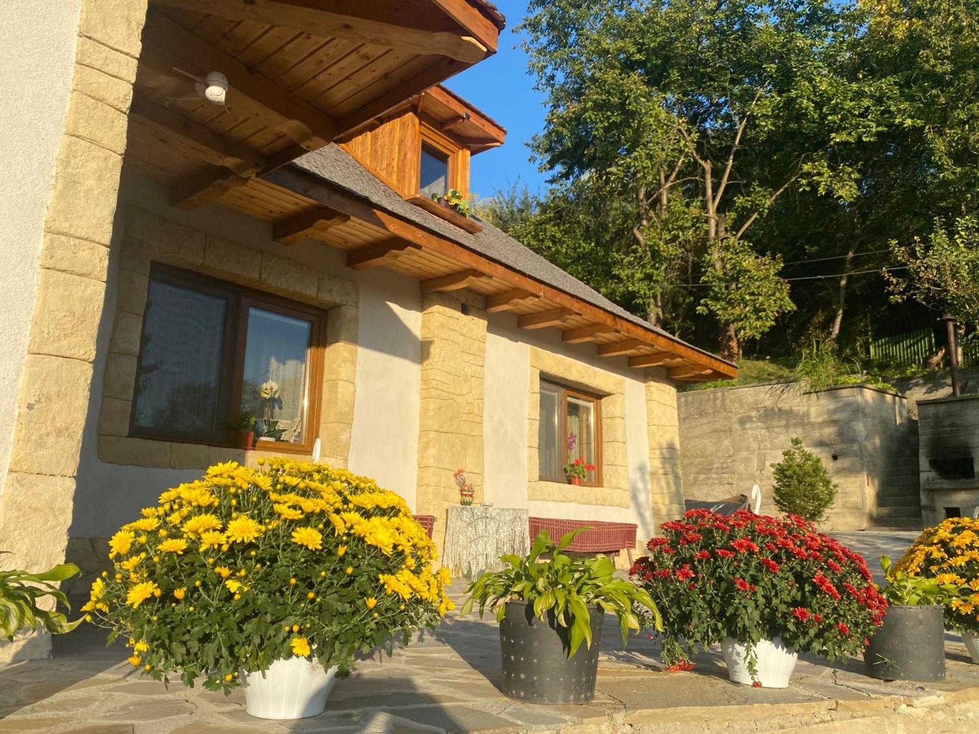 Вилла Casa Cu Sindrila Вэлени-де-Мунте Экстерьер фото